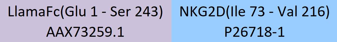 NKG2D Structure