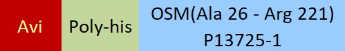 Oncostatin M Structure