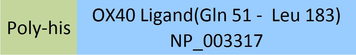 OX40 Ligand Structure