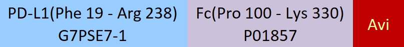 PD-L1 Structure