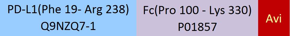 PD-L1 Structure