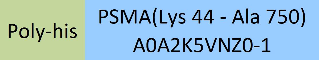 PSMA Structure