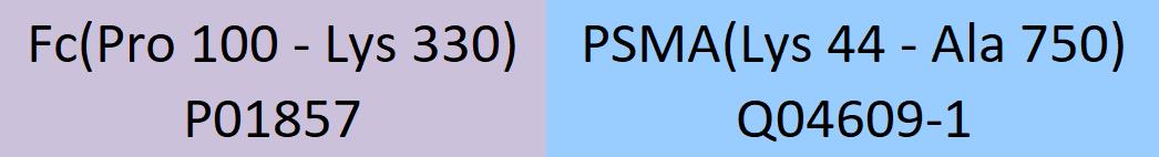 PSMA Structure