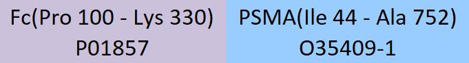 PSMA Structure