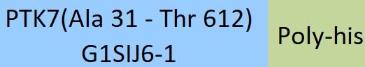 PTK7 Structure