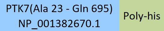 Online(Ala 23 - Gln 695) NP_001382670.1