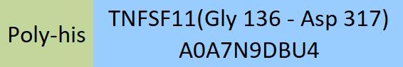 TNFSF11 Structure