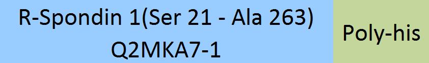 R-Spondin 1 Structure