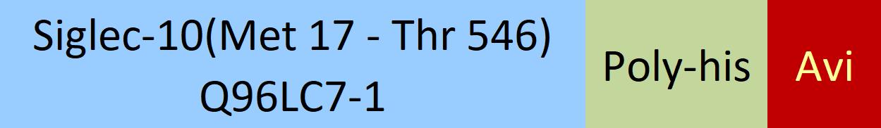 Siglec-10 Structure