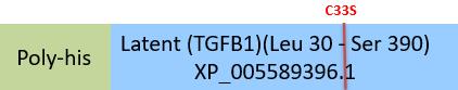 Latent TGF-beta 1 Structure