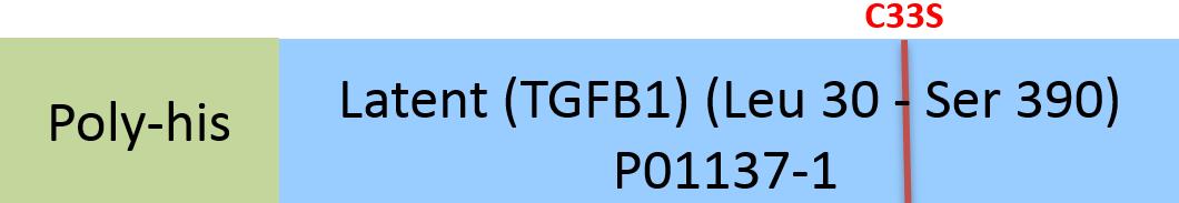 Latent TGF-beta 1 Structure