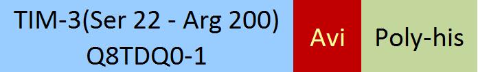 TIM-3 Structure