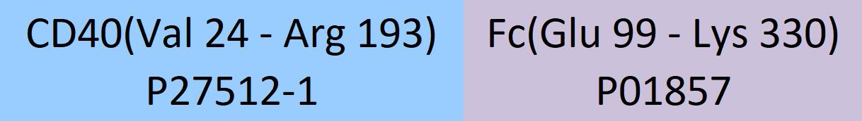 CD40 Structure