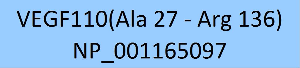 VEGF110 Structure