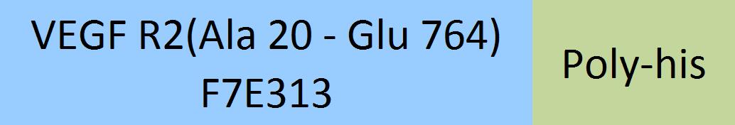 VEGF R2 Structure