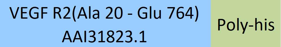 Online(Ala 20 - Glu 764) AAI31823.1