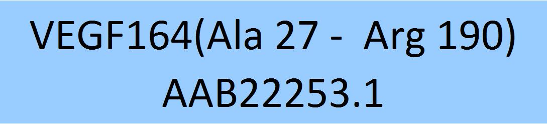 VEGF164 Structure