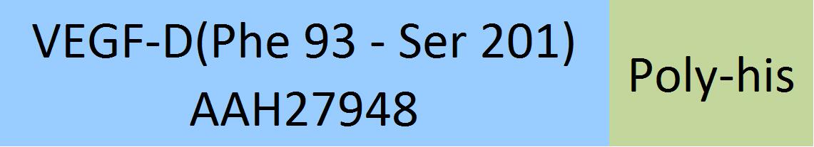 VEGF-D Structure