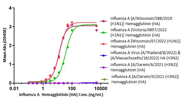  Hemagglutinin/HA (Influenza Virus) TYPICAL DATA