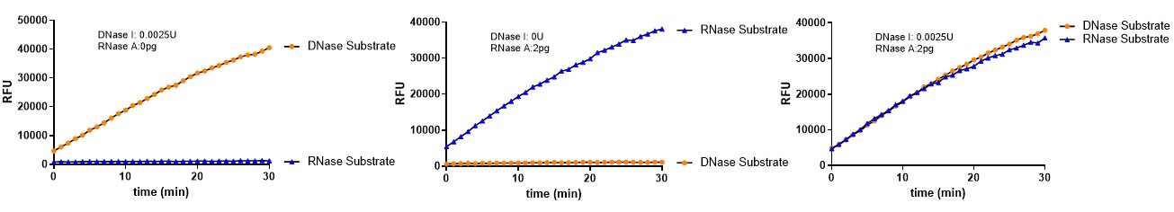  RNase A INTERFERENCE EFFECT